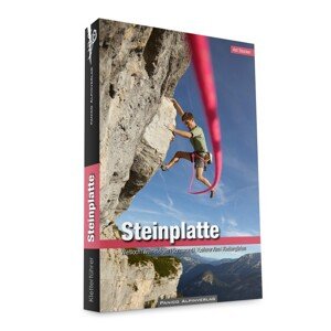 Lezecký průvodce Alpinkletterführer Steinplatte
