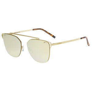 Brýle Relax Hunda R2331B