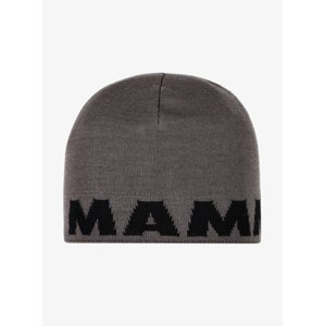 Čepice Mammut Logo Beanie steel-black