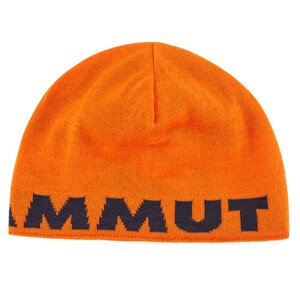 Čepice Mammut Logo Beanie arumita-night