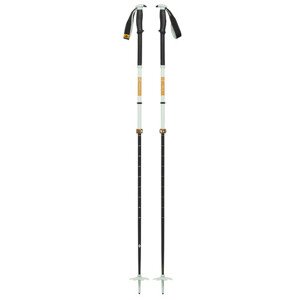 Skialpinistické hole Black Diamond TRAVERSE PRO SKI POLES Foam Green