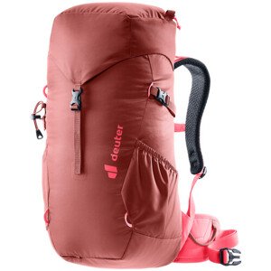 Dětský turistický batoh Deuter Climber 22 redwood-hibiscus
